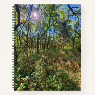 ザ・サン・イン・ザ・ツリーズ学園支配のノート ノートブック