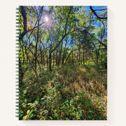 ザ・サン・イン・ザ・ツリーズ学園支配のノート ノートブック (正面)