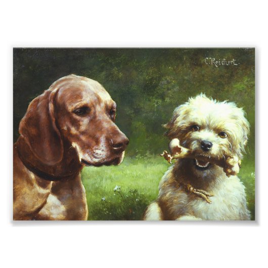 ザ・シニック&ザ・哲学者の写真 フォトプリント            (正面)