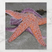 ザ・シースター ワインラベル (シングルラベル)