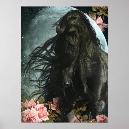 ザ・スタリオン&ザ・ムーン – ポスター (正面)