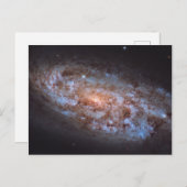 ザ・ステラ・フォージ ポストカード (正面/裏面)