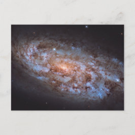 ザ・ステラ・フォージ ポストカード