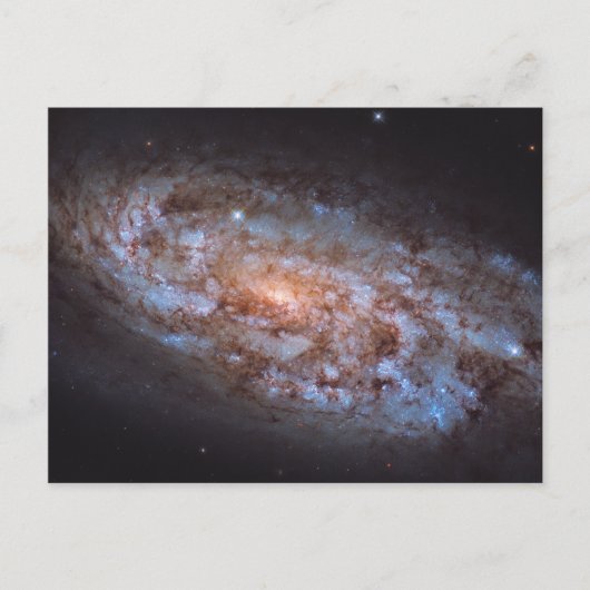 ザ・ステラ・フォージ ポストカード (正面)