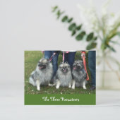 ザ・スリーケザーハガキ ポストカード (スタンド正面)