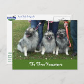 ザ・スリーケザーハガキ ポストカード (正面/裏面)