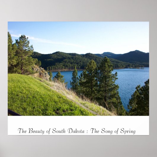 ザ・ソング・オブ・春 ポスター (正面)