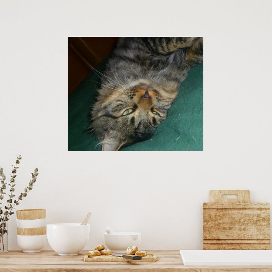 ザ・ティグ ポスター (キッチン)