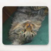 ザ・ティグ マウスパッド (正面)