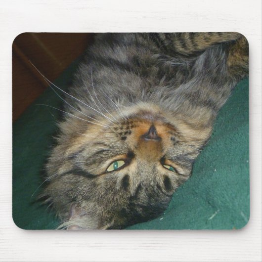 ザ・ティグ マウスパッド (正面)