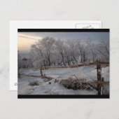 ザ・ノ凍っていース ポストカード (正面/裏面)