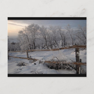 ザ・ノ凍っていース ポストカード