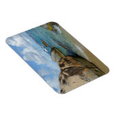 ザ・バス マグネット (右側)