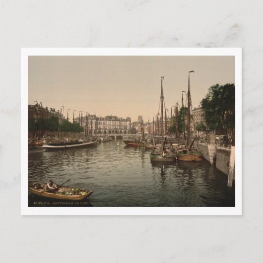 ザ・バンクメント、ロッテルダム、オランダ ポストカード (正面)