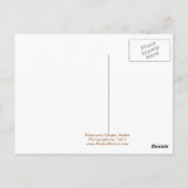 ザ・パーフェクト・トリップ・アラスカ ポストカード (裏面)