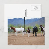 ザ・ビュー ポストカード (正面/裏面)