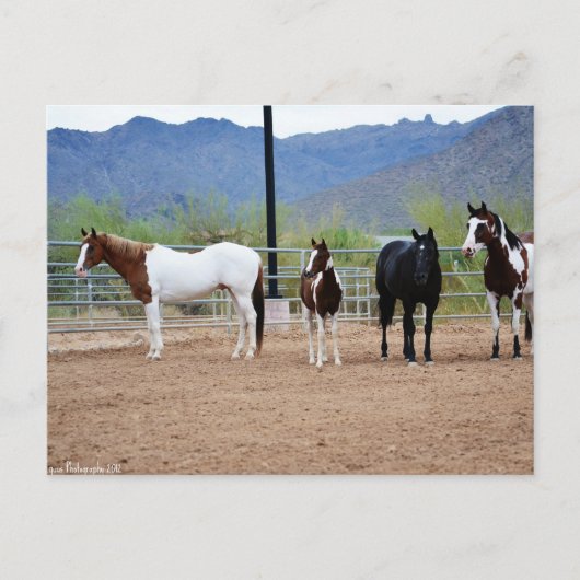 ザ・ビュー ポストカード (正面)