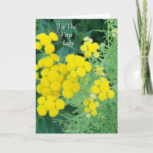 ザ・ファースト・レディー サンキューカード (正面)