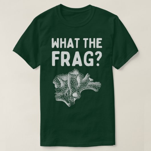 ザ・フラッグ Tシャツ (デザイン正面)
