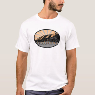ザ・フラティロン、チョークパーク、大きい石CO Tシャツ