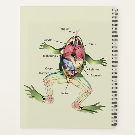 ザ・フロッグ・アナトミパーソナライズされたア プランナー手帳 (裏面)