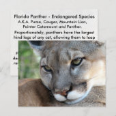 ザ・フロリダパンサー – 学のポストカード ポストカード (正面/裏面)