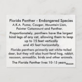 ザ・フロリダパンサー – 学のポストカード ポストカード (裏面)