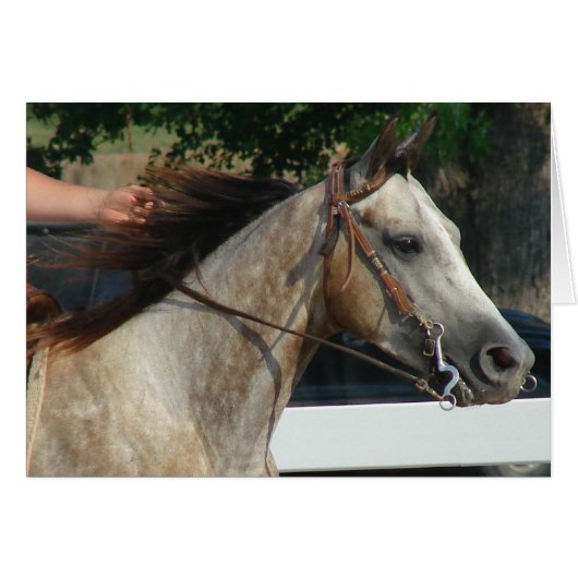 ザ・ホース・ショー (正面横)