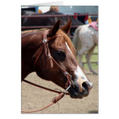 ザ・ホース・ショー (正面)