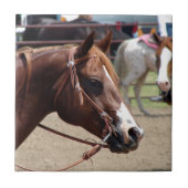 ザ・ホース・ショー タイル (正面)