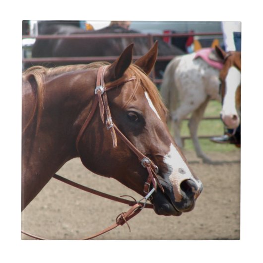 ザ・ホース・ショー タイル (正面)