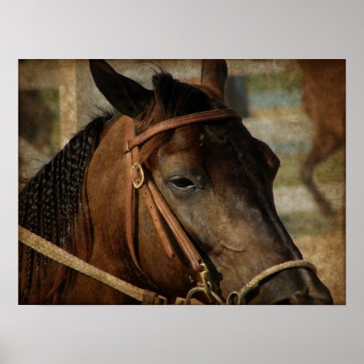 ザ・ホース・ショー ポスター (正面)