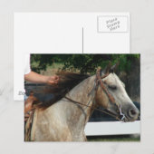 ザ・ホース・ショー ポストカード (正面/裏面)
