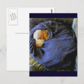 ザ・ボー・ボール ポストカード (正面/裏面)