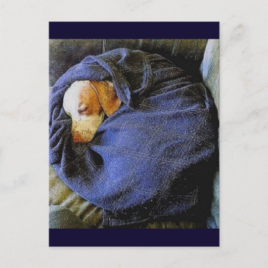 ザ・ボー・ボール ポストカード (正面)