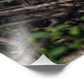 ザ・リトル・ワンの母ゲメスアイランドフォトプリント フォトプリント            (角)