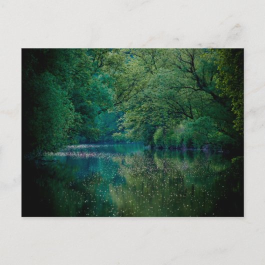 ザ・リバー・ポストカード ポストカード (正面)