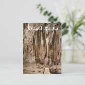 ザ・ルーカリー、ウィンドケーブ国立公園、SD ポストカード (スタンド正面)