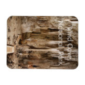 ザ・ルーカリー、ウィンドケーブ国立公園、SD マグネット (横)