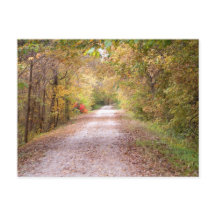 ザ・ロード・レス・トラベルド