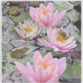 ザ《植物》スイレン池 シール (正面)