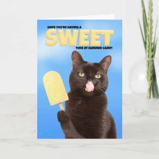 『ザ・考えるオブ・ユー・サマー・キャンプ・ウィッシュ・ネおもしろいイツ』 シーズンカード (正面)