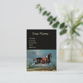 ザPiebald Horse "セヒーロ'飼育，黒 名刺 (スタンド正面)