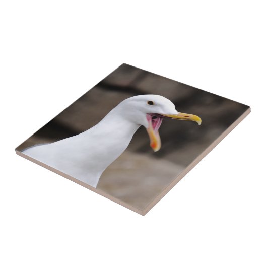 シおもしろいーガル タイル (側面)