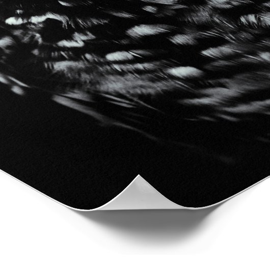 シアクールン色の目を持つ白黒フクロウ ポスター (角)