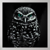 シアクールン色の目を持つ白黒フクロウ ポスター (正面)