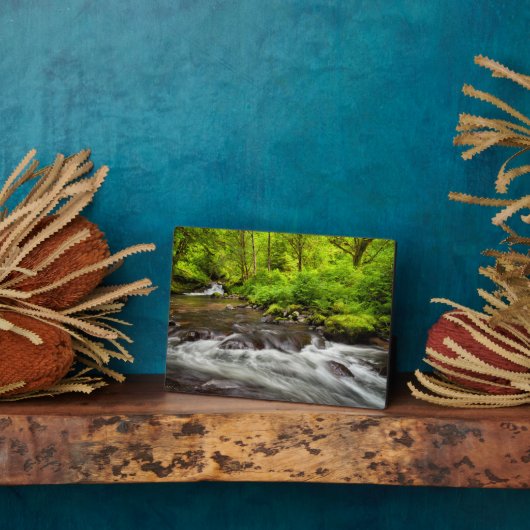 シアスラウ・ナショナル・フォレスト、スイート・クリーク、オレゴン州 フォトプラーク (側面)