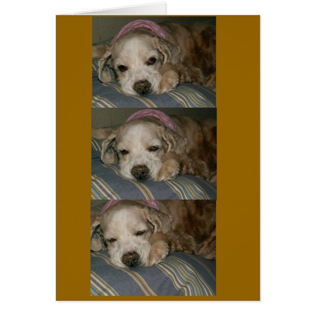 シアトルの睡眠 (正面)