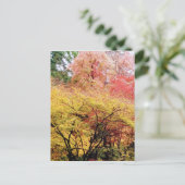 シアトルの紅葉 ポストカード (スタンド正面)