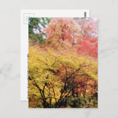 シアトルの紅葉 ポストカード (正面/裏面)